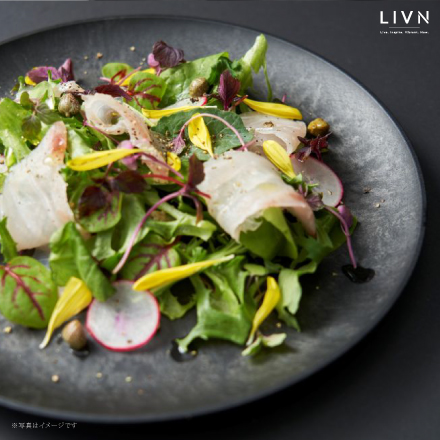 割れない食器 TRANSWOOD 中皿2枚セット(ブラック)　[ LIVN （リブン) ]