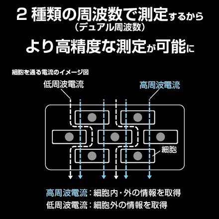 タニタ デュアルタイプ体組成計 インナースキャンデュアル RD801 ブラック