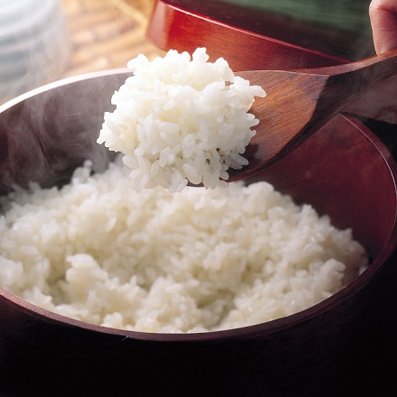 茨城県産 こしひかり 10kg 令和6年産