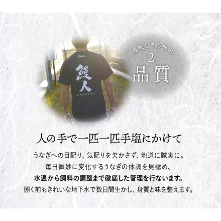 浜名湖うなぎ蒲焼ハーフカット3袋
