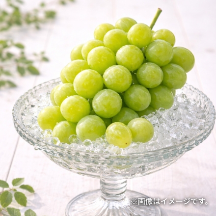 シャインマスカットとナガノパープル2.5ｋｇ