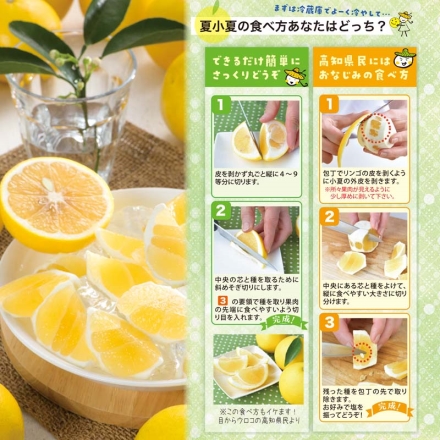 贈答用 夏小夏（ナツコナツ）1.5ｋｇ 送料込み