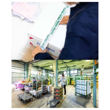 夏の果物6品詰合せ 送料込み