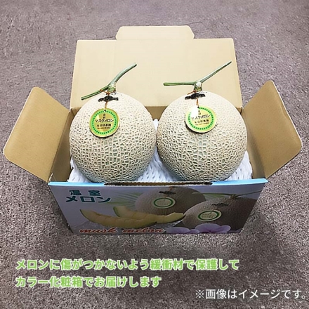 温室マスクメロン2個 送料込み