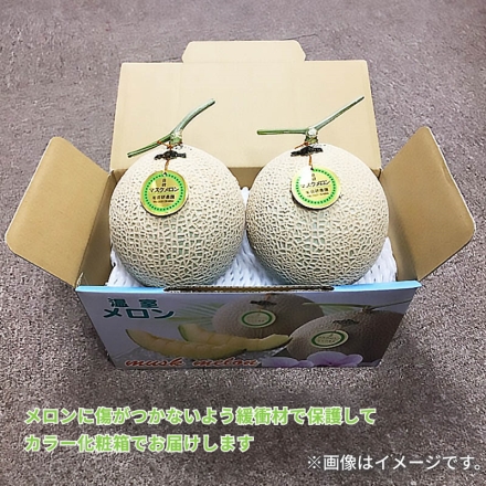 マスクメロン 2個入