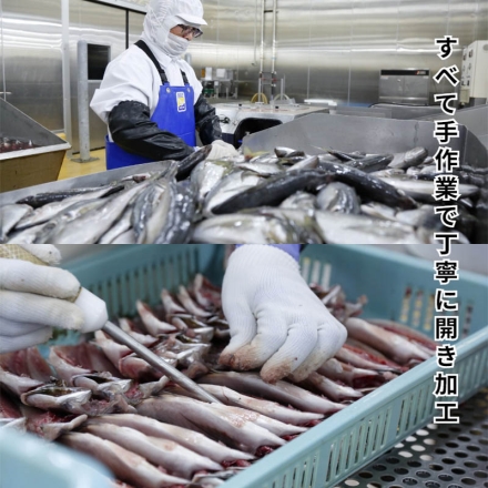 シーボーン昭徳の天日干し詰合せ 真あじ開き360g(6枚)、真さば片身180g(2枚)、かます開き160g(2枚)、連子鯛開き180g、剣先いか開き80g