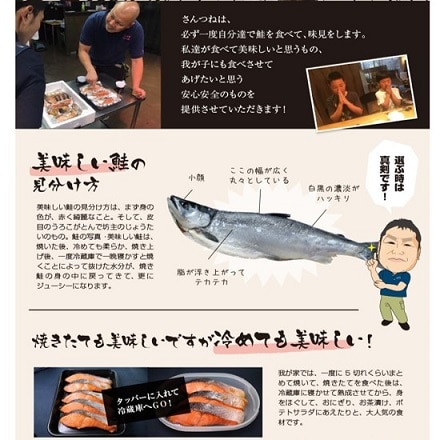 大阪中央卸市場さんつね　紅鮭切身詰合せ天然紅鮭「べっぴんさん」　紅鮭切身詰合せ　８切れセット