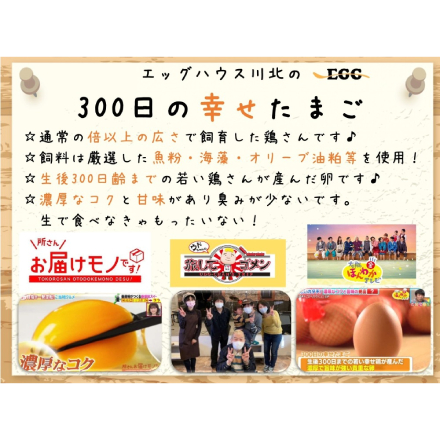 エッグハウス川北 300日の幸せたまご（赤玉）30個入り