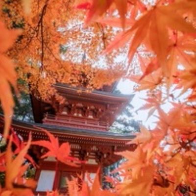 【静岡】医王山薬王院油山寺 2名様 滝行と写経体験