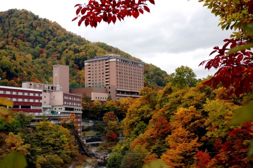 【北海道】定山渓万世閣ホテルミリオーネ　2名様 日帰り入浴