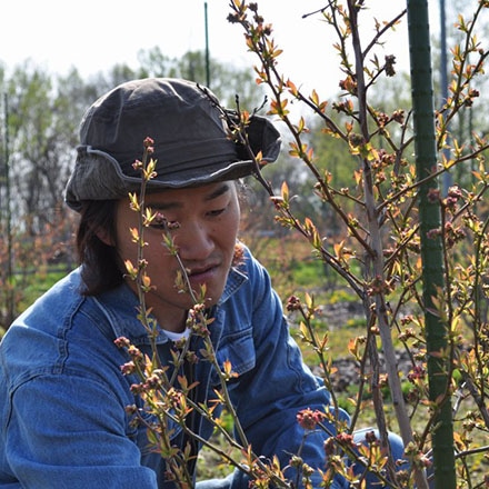 ベリーファーム 北海道 自社栽培オーガニックブルーベリーのジャム3個セット グルメ 永久不滅ポイント交換の Storee Saison ストーリー セゾン