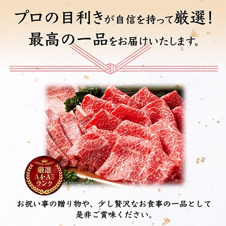 前沢牛 サーロイン 焼肉 しゃぶしゃぶ 食べ比べ セット 400g 2～3人分