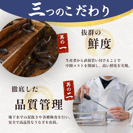 浜名湖 うなぎ 真空長白焼(大)2枚入り