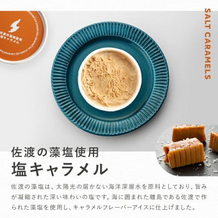 新潟ご当地アイス5種15品