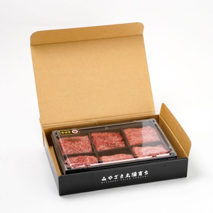 肉の野上 宮崎牛 6種盛り 600g ギフト箱