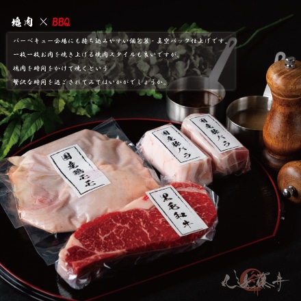 塊肉厳選３種（焼肉・BBQ用）約750ｇ 2～4人前 ソロキャンプにも最適