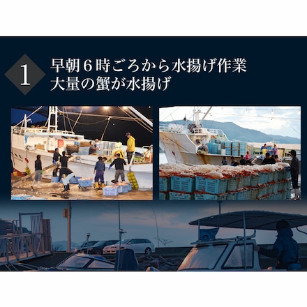 鳥取県 境港産 ボイル 紅ずわい蟹 A級 3尾 セット 1尾あたり 約300～390g
