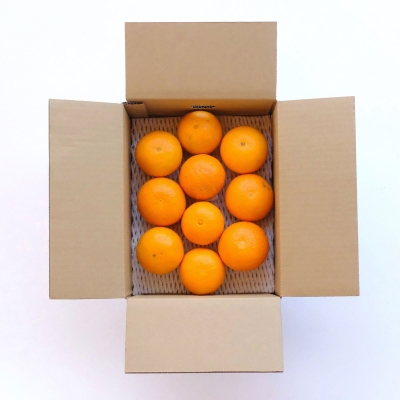 【2026年3月上旬より順次出荷】注目の新品種！紅プリンセスと同品種「愛媛果試48号」 秀品 2kg