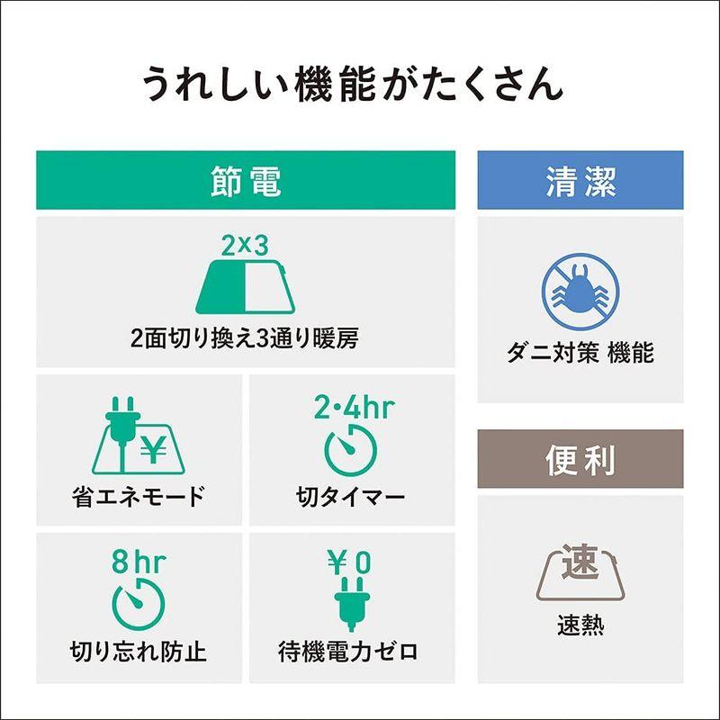 パナソニック ホットカーペット 電気カーペット トリプル断熱構造 省エネ タイマー機能 防ダニ 2面切り替え 1.5畳 176×126cm  DC-15NK