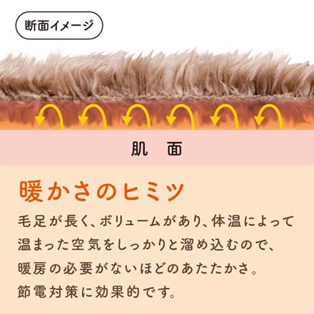 クッション 極暖チェアクッション