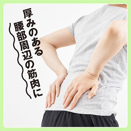 腰スッキリングボーン ツボ押し アルファックス
