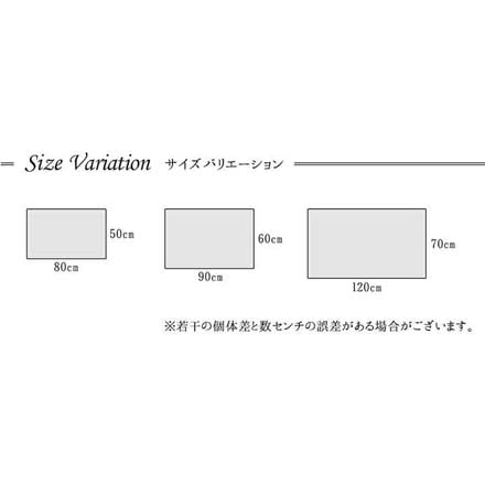 プラテリア 玄関マット 50×80cm