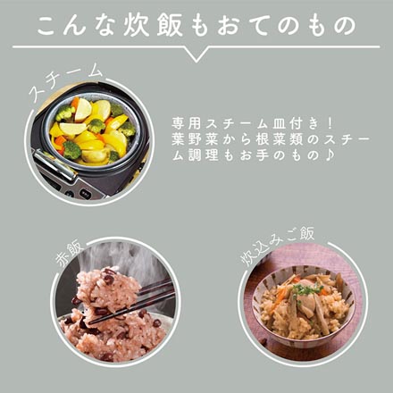 炊飯器 5合炊き 炊飯ジャー ブラウン