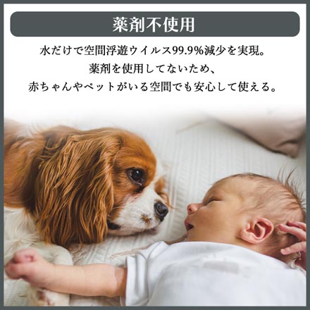 加湿器 moya Ultra ウイルス除去