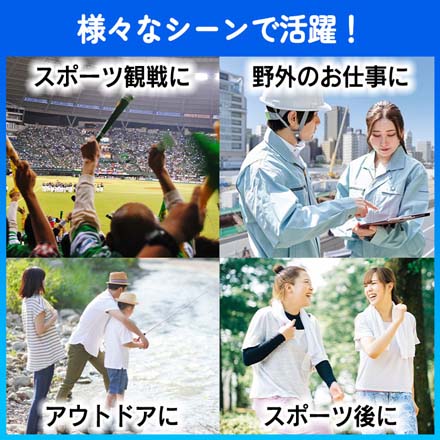 グローバル・ジャパン アイスボトル 氷嚢ボトル 1個