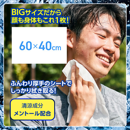 ボディシート 汗拭きシート 極涼 ドでかクール 15枚入 1個