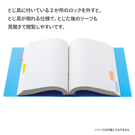 ルーズリーフ保存用バインダー ピンク FDC