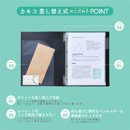 キングジム クリアーファイル カキコ 差し替え式 赤 FDC