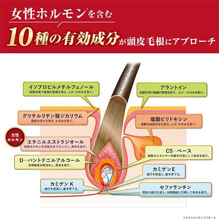 育毛剤 薬用 レディース 加美乃素 PREMIUM150ml MC