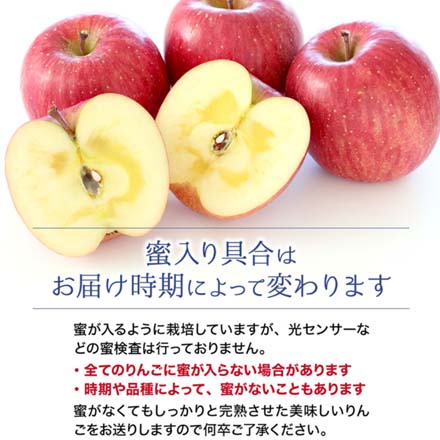 訳あり 青森県産 葉とらずふじりんご 2.5kg 東北ECグローバル