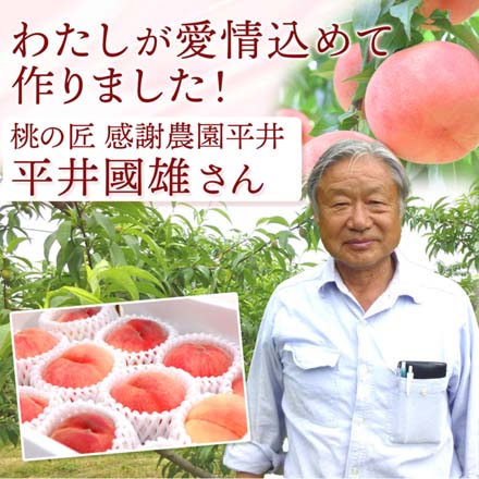 訳あり 福島県産 桃 約 4.7kg 東北ECグローバル
