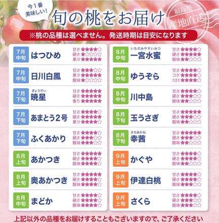 福島県産 桃 光センサー 特秀品 約 2.7kg 東北ECグローバル