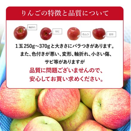 訳あり 長野県産 葉とらずふじりんご 10kg 東北ECグローバル