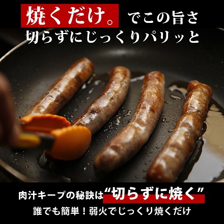 長さ20～30cm 超ロング 超粗挽きウインナー GASBO ガスボー 佐賀県 旬菜舎さと山 100g×10本入×3P yamashiro34 旬菜舎さと山
