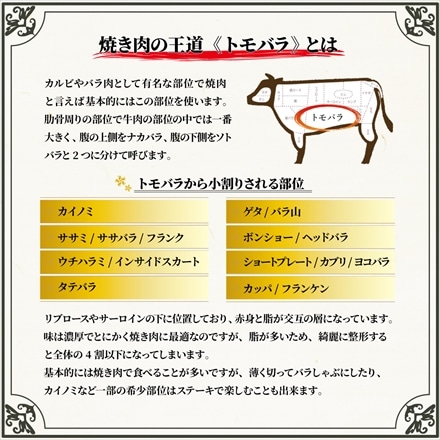 A5等級メス牛 神戸牛 霜降りカルビ タテバラ 200g 1～2名様用 神戸ビーフ 焼肉用