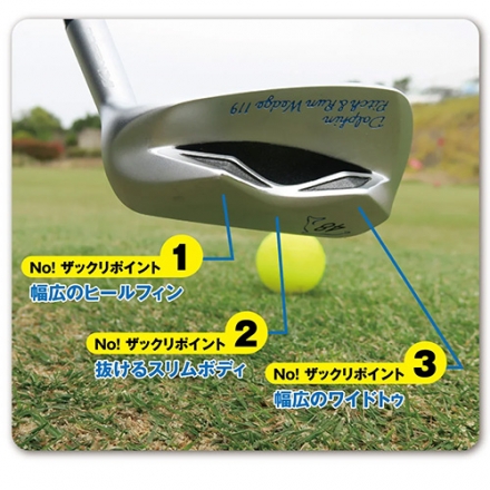 キャスコ ドルフィン DRW-119 DPW-119 DFW-119 ウェッジ Dolphin DP-201 カーボンシャフト DFW-119/55度/33インチ