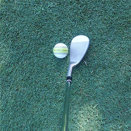 リンクス HG ウェッジ リンクスオリジナル スチールシャフト LYNX ハイグラビティ 高重心 56度 10度