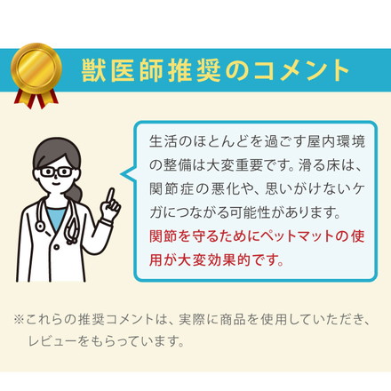 SankoPet 日本製 ペット用 階段マット 55×21cm 13枚入り 滑り止め 滑落防止 撥水 洗濯可 サンコーペット ベージュ