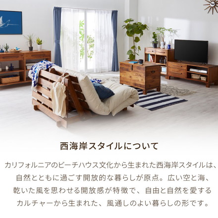 ローボード 幅110 西海岸風 テレビ台 テレビボード AVボード ロータイプ コンパクト TV台 収納家具 収納