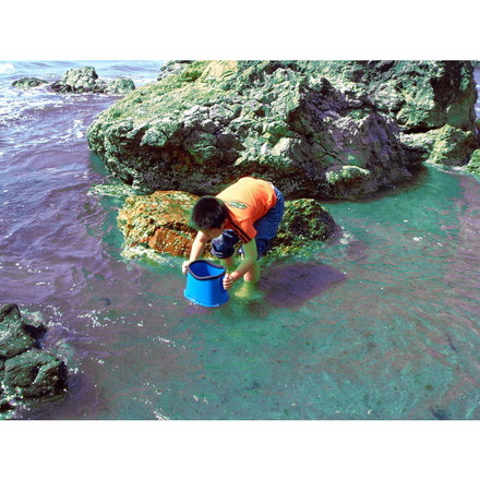 たこめがね 水中観察 子供用 釣り フィッシング アウトドア レジャー 夏休み 海水浴 山 川遊び 水中メガネ 水色 ブルー 磯遊び 川遊び 潮干狩り 生物観察