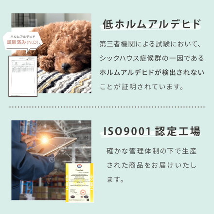ドッグステップ 3段 スロープ 幅45cm ドッグスロープ ブラウン