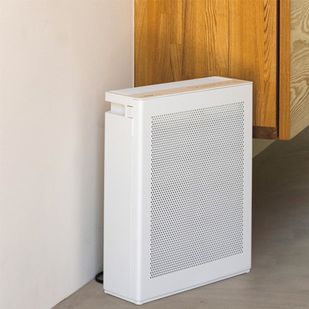 ESCO エスコ AC100V/ 16W/16畳 空気清浄機 EA763AD-31D