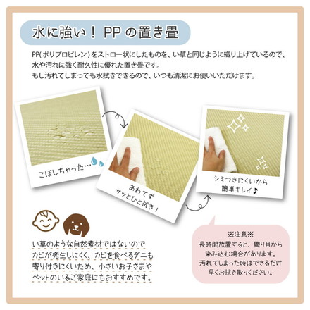 置き畳 水拭きできる PPミニ畳 65×65cm 約半畳 1枚 い草風 綾模様 フロア畳 ユニット畳 システム畳 厚手