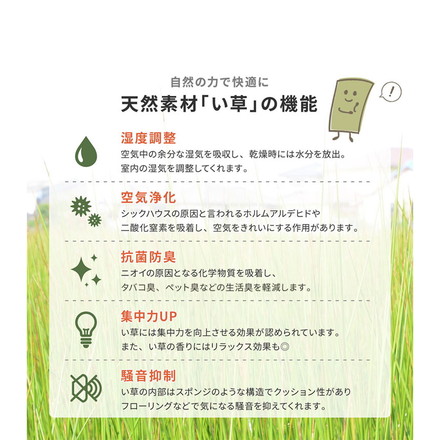 新素材で丈夫 ハイブリッド置き畳 綾瀬 単品1枚 82×82cm い草×樹脂 置き畳 畳マット カーペット 天然い草 ライトグリーン[160900403]