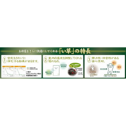 国産い草センターラグ(裏貼り) 築彩(ちくさい) 約191×250cm BL