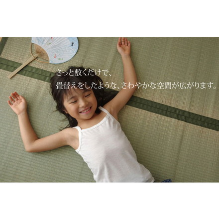 純国産 双目織 い草上敷 『草津』 江戸間6畳（約261×352cm）
